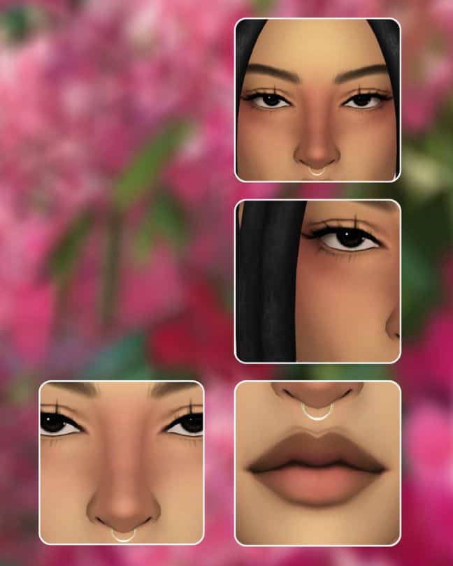 collage of four different blush placements