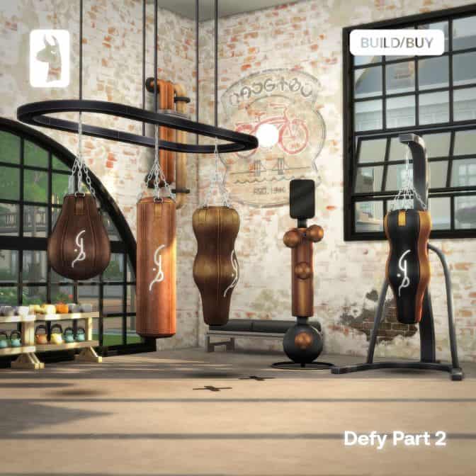 boxing gym equipment setup