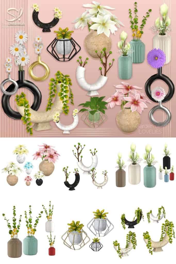 collage of potted plants and flowers