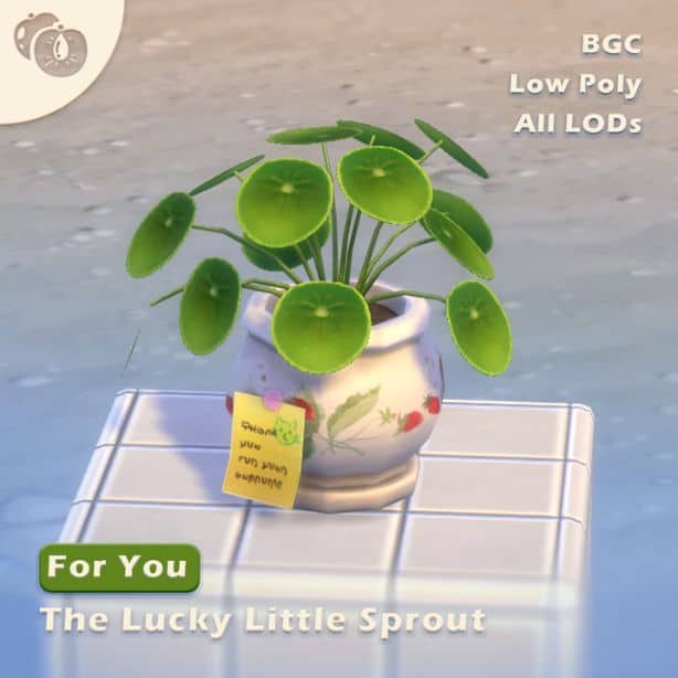 a potted Pilea plant